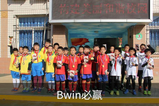 Bwin必赢公司介绍图片